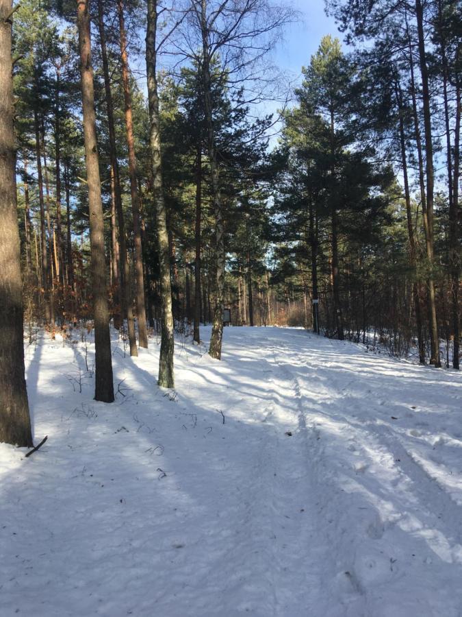 Pokoje Przy Zamku Podzamcze  Exterior photo